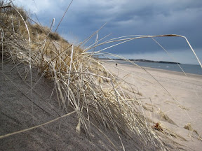 Melmerby Beach Provincial Park haligonia.ca
